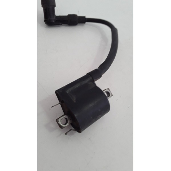 Bobina Ignição Yamaha Fazer 250 05/09 Original 16061