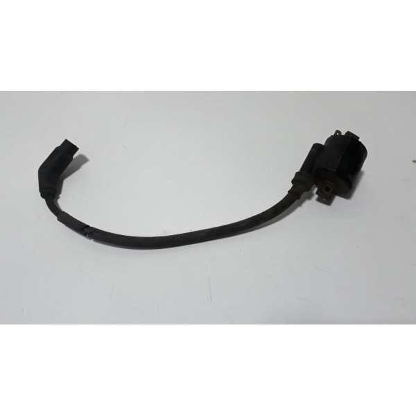Bobina Ignição Yamaha Ybr 125 00/08 Original 13445