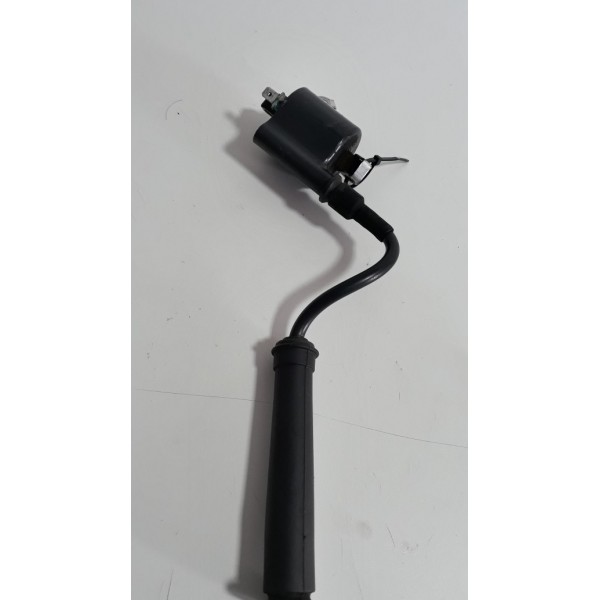 Bobina Faísca Ignição Honda Xre 300 Orig (12905)