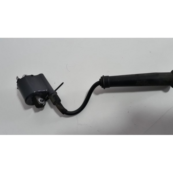 Bobina Faísca Ignição Honda Xre 300 Orig (12905)