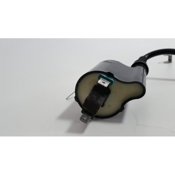 Bobina Faísca Ignição Honda Xre 300 Orig (12905)
