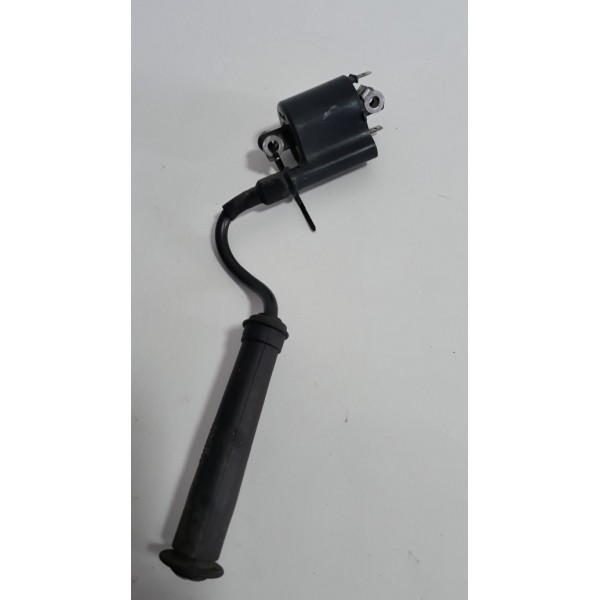 Bobina Faísca Ignição Honda Xre 300 Orig (12905)
