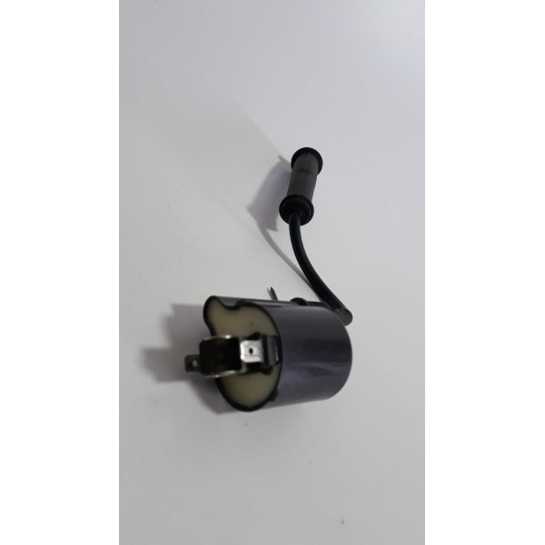 Bobina Faísca Ignição Honda Xre 300 Orig (12905)