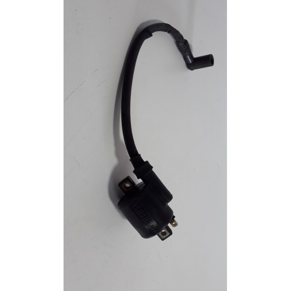 Bobina Ignição Yamaha Ybr 125 2001 Original (8110)