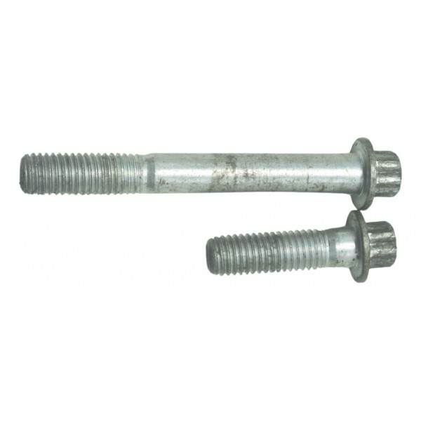 Par Parafuso Pinça Diant Harley Softail Heritage 12-15 Orig