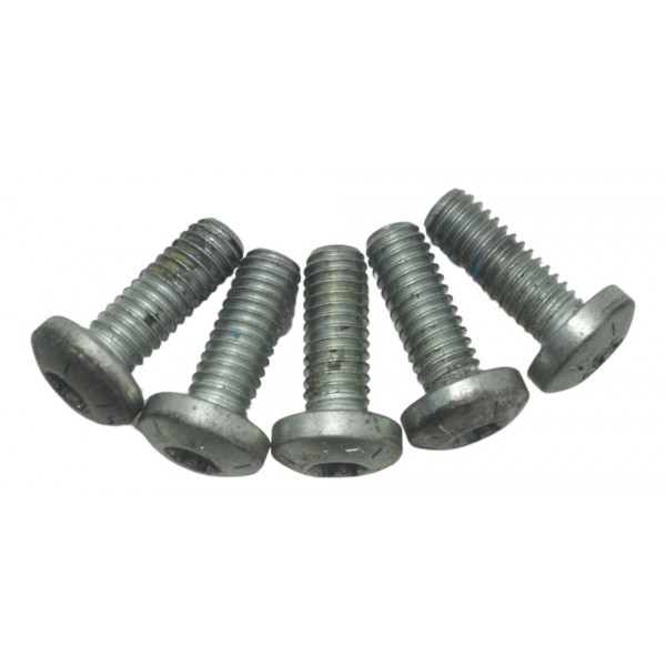 Kit Parafuso Disco Freio Diant Harley Softail Heritage 12-15