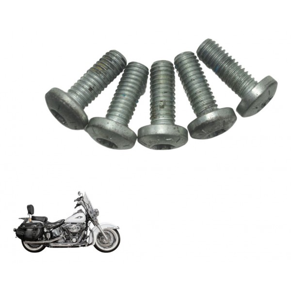 Kit Parafuso Disco Freio Diant Harley Softail Heritage 12-15