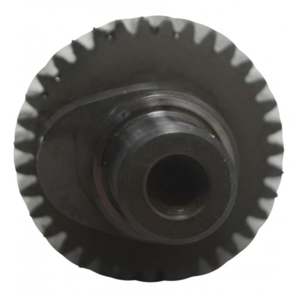 Engrenagem 1ª Arvore Comando Harley Xl 1200c 11-13 Original