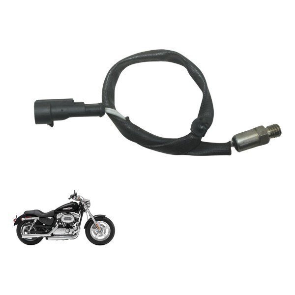 Sensor Temperatura Cabeçote Harley Xl 1200c 11-13 Original