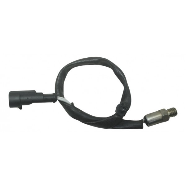Sensor Temperatura Cabeçote Harley Xl 1200c 11-13 Original