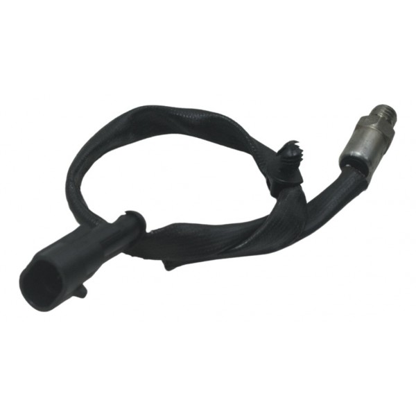 Sensor Temperatura Cabeçote Harley Xl 1200c 11-13 Original