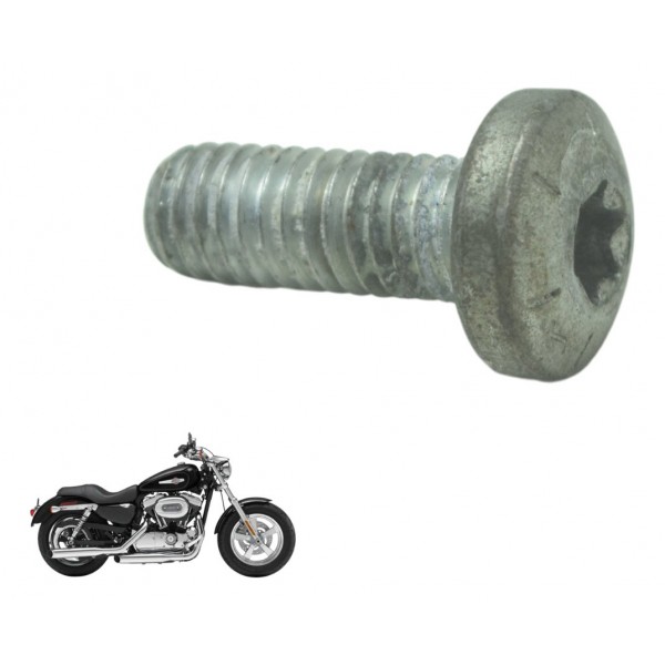 Parafuso Freio Traseiro Harley Xl 1200c 11-13 Original