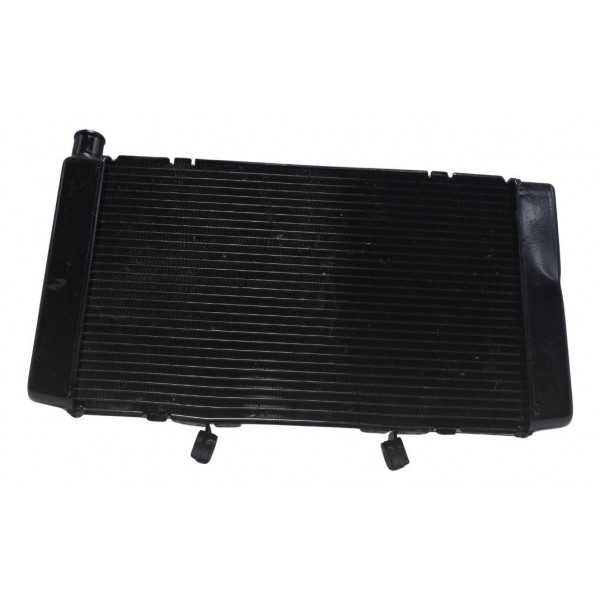 Radiador C/ Detalhes Honda Cb 600f Hornet 12-14 Original