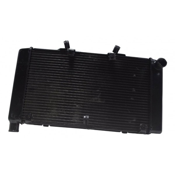 Radiador C/ Detalhes Honda Cb 600f Hornet 12-14 Original