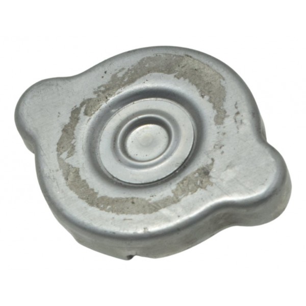 Tampa Radiador Honda Cb 600f Hornet 12-14 Original