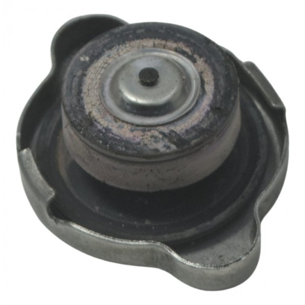 Tampa Radiador Honda Cb 600f Hornet 12-14 Original