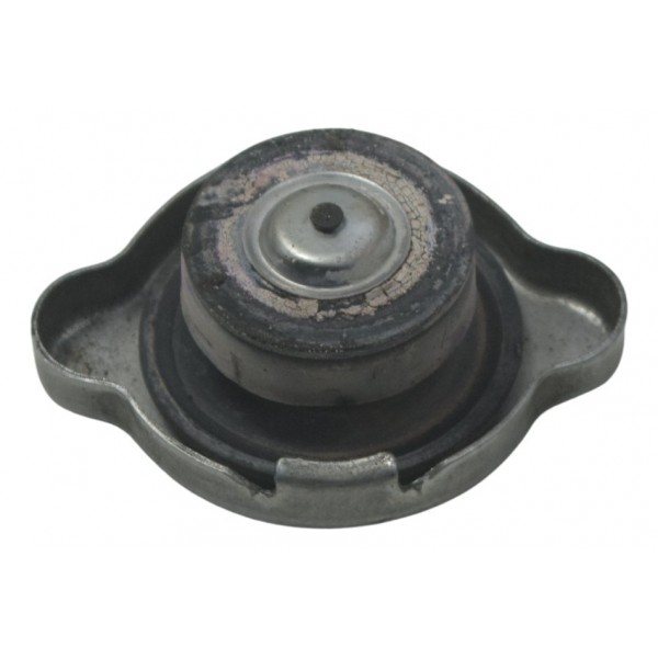 Tampa Radiador Honda Cb 600f Hornet 12-14 Original