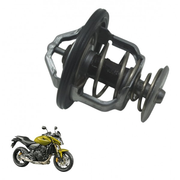 Válvula Termostática Honda Cb 600f Hornet 12-14 Original
