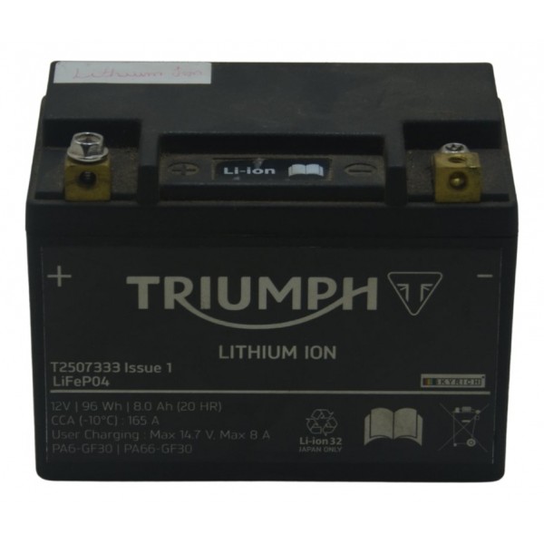 Bateria Triumph Tiger 1200 12-17 Ex Original