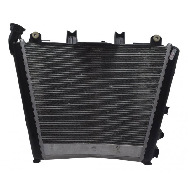 Radiador Bmw S1000rr 20-23 Original