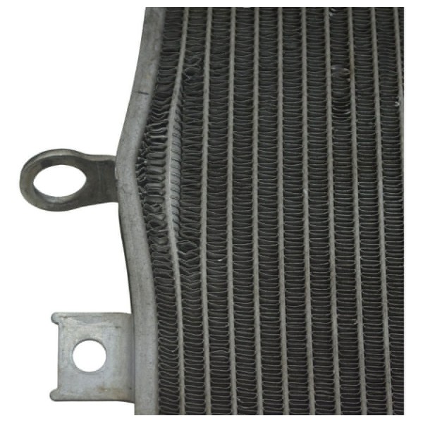 Radiador C/ Detalhes Kawasaki Ninja Zx 10r 16-21 Original