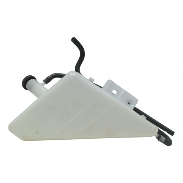 Reservatório Água Suzuki Gsx-r 1300 Hayabusa 09-19 Original