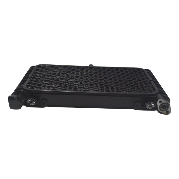 Radiador Óleo Suzuki Gsx-r 1300 Hayabusa 09-19 Original