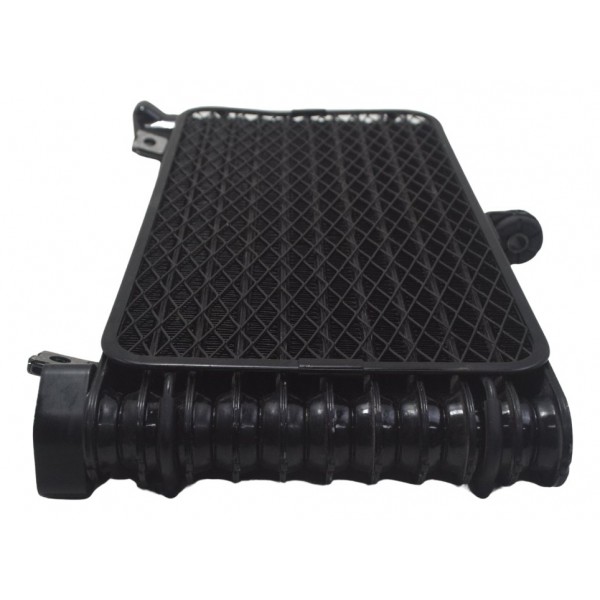 Radiador Óleo Suzuki Gsx-r 1300 Hayabusa 09-19 Original