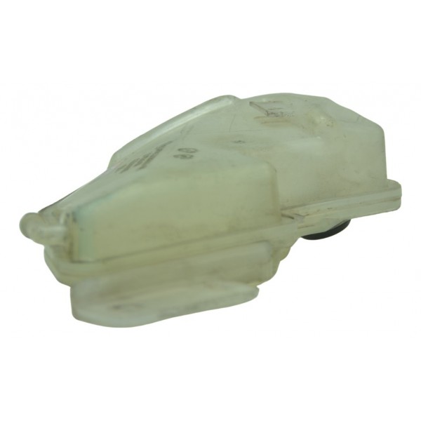 Reservatório Água C/ Detalhes Bmw S 1000 Rr 15-19 Original