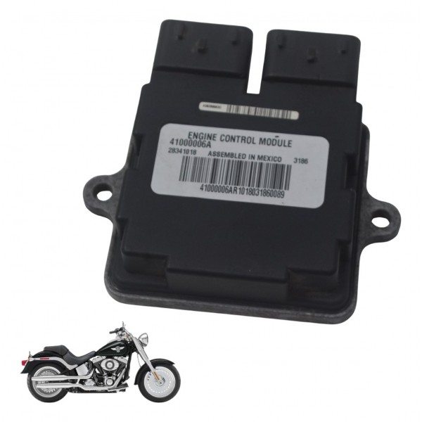 Modulo Ecm Harley Softail Fat Boy 12-15 Original