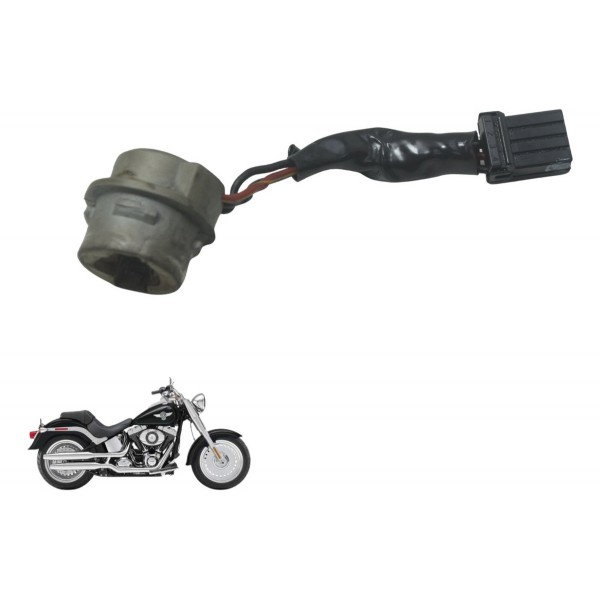 Chicote Lanterna Traseira Harley Softail Fat Boy 12-15 Orig