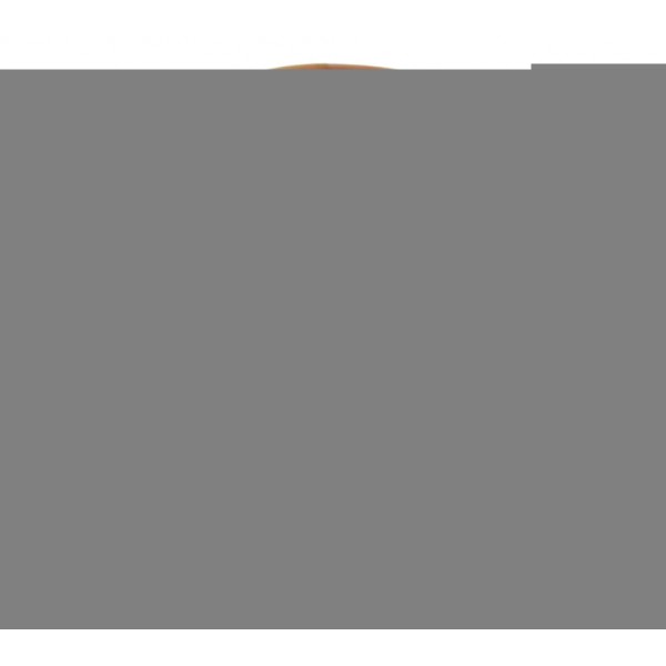 Lente Pisca Diant Avaria Harley Softail Fat Boy 12-15 Orig