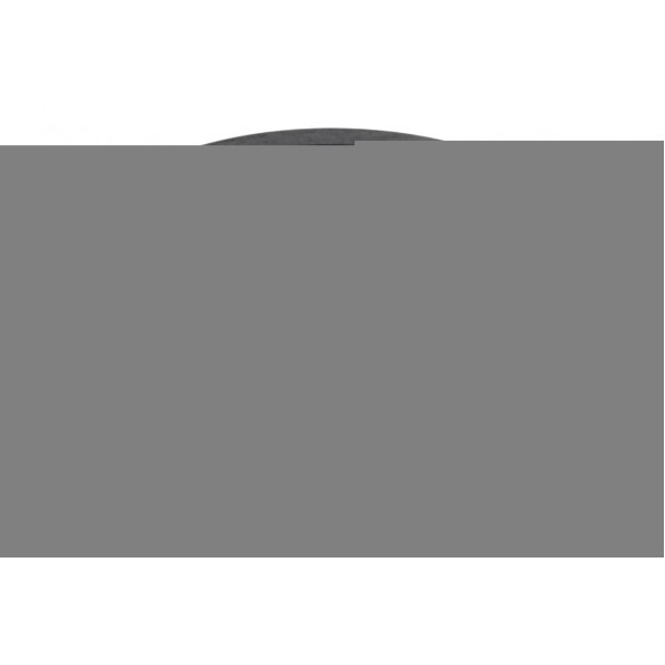 Polia Traseira Transmissão Harley Softail Fat Boy 12-15 Orig