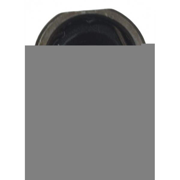 Tucho Válvula Harley Softail Fat Boy 12-15 Original