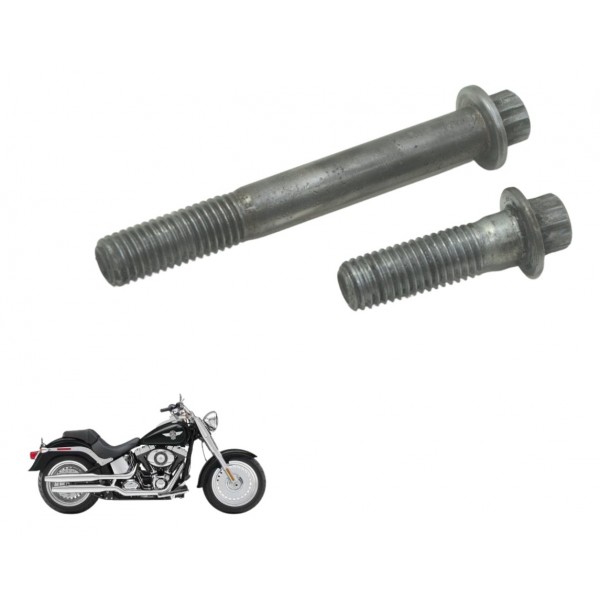 Par Parafusos Pinça Diant Harley Softail Fat Boy 12-15 Orig