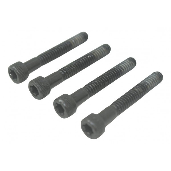 Kit Parafuso Estator Harley Softail Fat Boy 12-15 Original