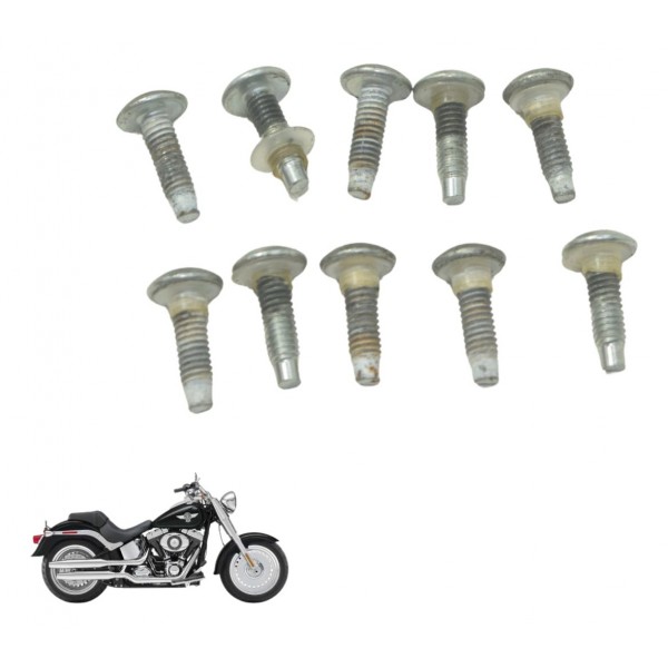 Kit Parafuso Fixação Bomba Harley Softail Fat Boy 12-15 Orig