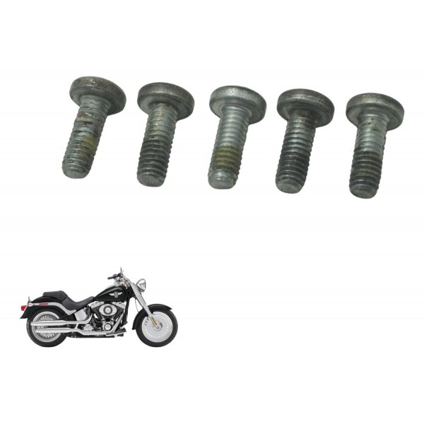 Kit Parafuso Disco Diant Harley Softail Fat Boy 12-15 Orig