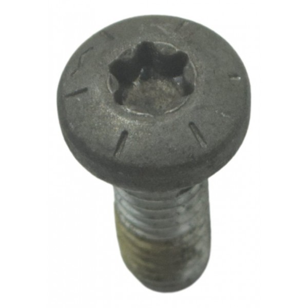 Parafuso Disco Freio Diant Harley Softail Fat Boy 12-15 Orig