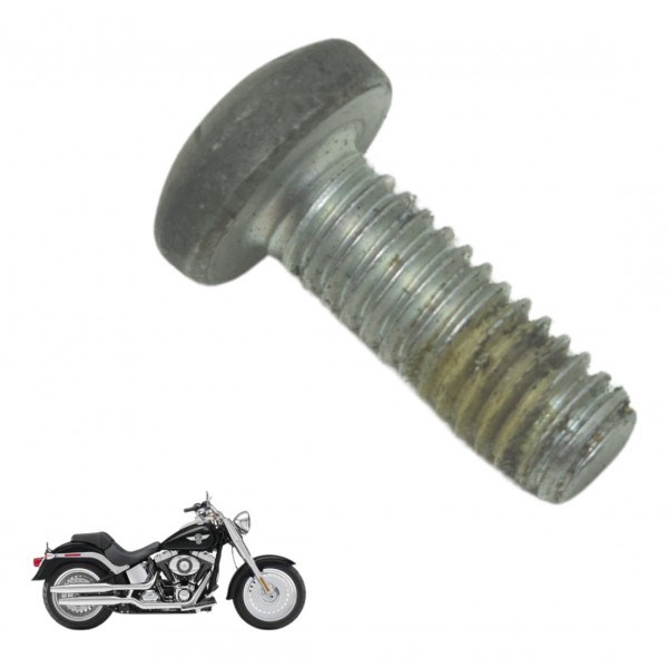 Parafuso Disco Freio Diant Harley Softail Fat Boy 12-15 Orig