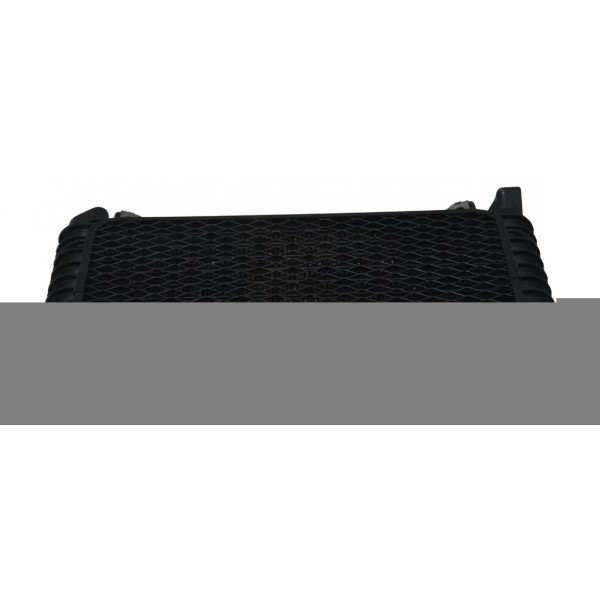 Radiador Óleo Suzuki Gsx 1300 B King 09-16 Original