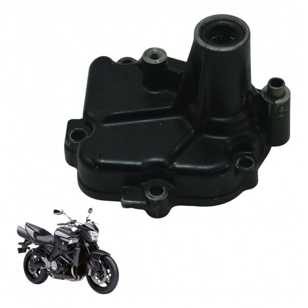 Carcaça Tampa Eixo Suzuki Gsx 1300 B King 09-16 Original