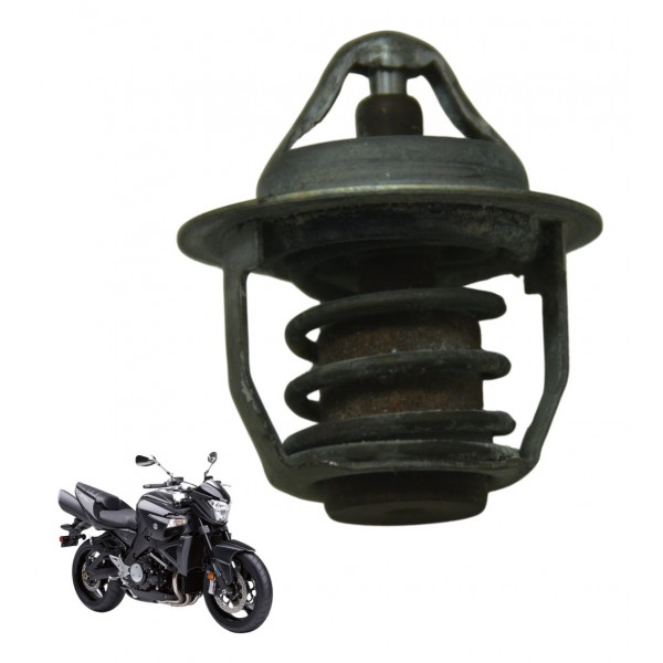 Válvula Termostática Suzuki Gsx 1300 B King 09-16 Original