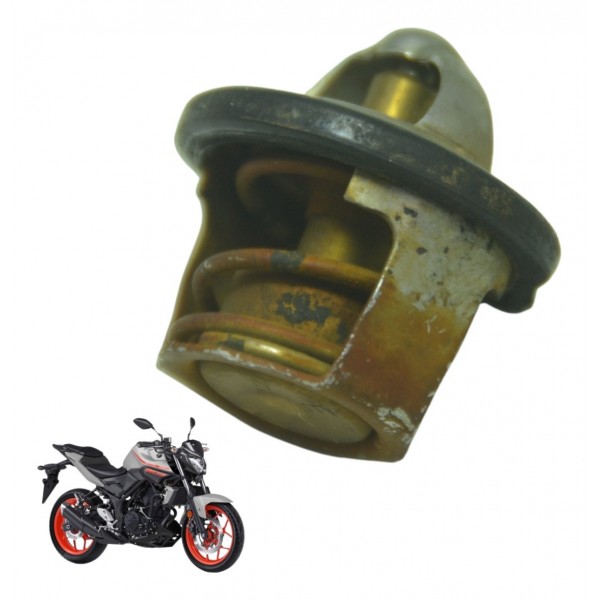 Válvula Termostática Yamaha Mt 03 16-19 Original