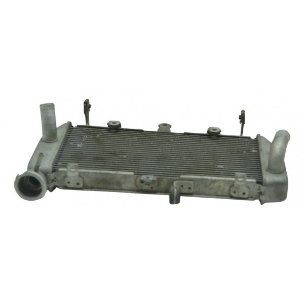 Radiador Yamaha Mt 03 16-19 Original