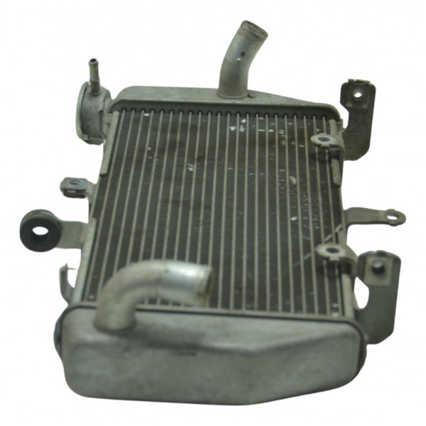 Radiador Yamaha Mt 03 16-19 Original