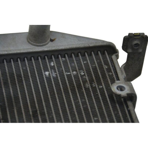Radiador Yamaha Mt 03 16-19 Original