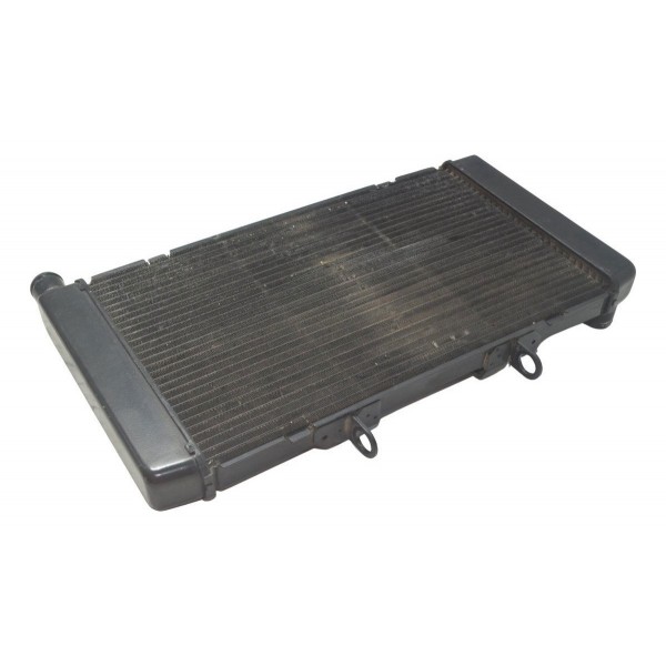 Radiador Honda Cb 600f Hornet 08-11 Original