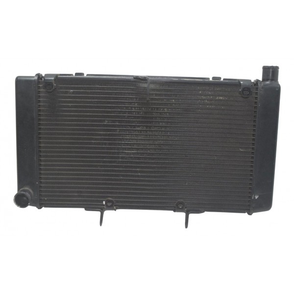 Radiador Honda Cb 600f Hornet 08-11 Original