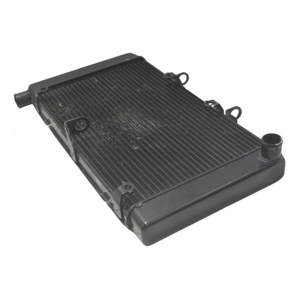 Radiador Honda Cb 600f Hornet 08-11 Original